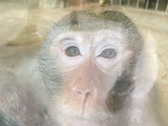 -黔灵山公园