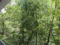 -黄山翡翠谷景区