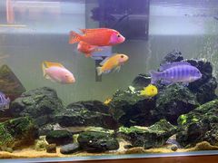 -Rabbit Cafe私房西餐甜点咖啡(栖霞路店)