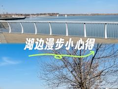 -武清南湖绿博园
