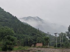 -大岭沟猕猴桃谷风景区