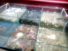 -比亚森自助烤肉料理(裕华店)