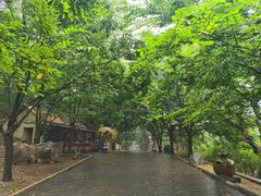 -青檀寺景区