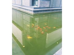 -南通博物苑-崇川人民公园