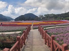 -广州市石门国家森林公园