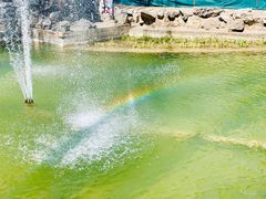 -碑林公园