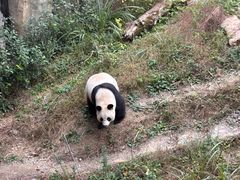 -宁波野生动物园