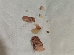 -上海市黄浦区牙病防治所(江西中路门诊部)