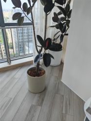 -HEYAN荷妍专业脱毛连锁机构