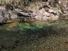 -祁门牯牛降观音堂风景区