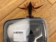 -盒马鲜生(领丰汇店)