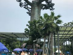 -苏州乐园森林水世界