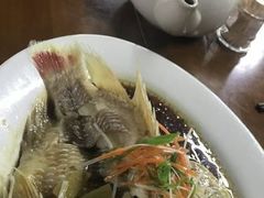 -正亮农家院·海鲜本地菜