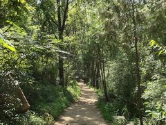 -碓臼峪自然风景区