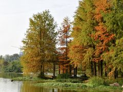 -浙江农林大学(东湖校区)