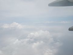 -李先生牛肉面(长春红旗街店)