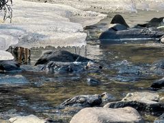 -帽儿山风景区