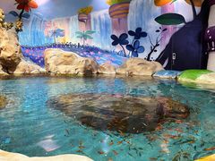 -顺德南宏海立方海洋公园