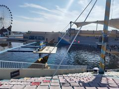 -秦皇岛乐岛海洋王国