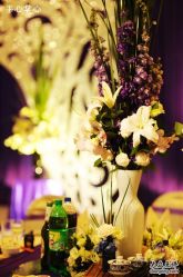 -DNA Wedding 婚礼记(上海店)