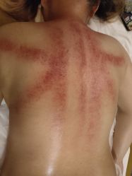 -风向标WIND VANE SALON