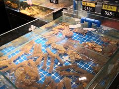 -闽海肴(北辰荟店)