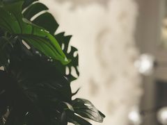 -行山咖啡(南湖店)