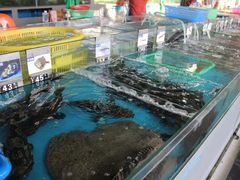 -清水湾3号(东方小周海鲜店)