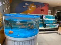 -盒马鲜生(杭州运河上街店)