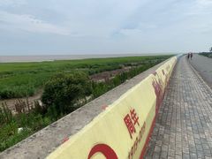 -南汇嘴观海公园