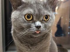 -Catmate·猫肥家润(金润铂宫店)