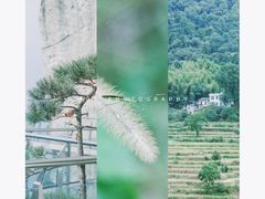 -罗田天堂寨风景区