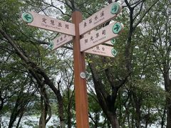 -佛手湖郊野公园