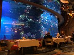 -迪拜帆船酒店海底餐厅