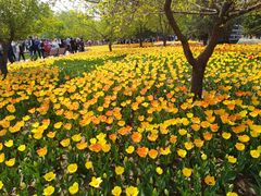 -长春公园(普阳街道)