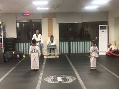 -金翼跆拳道巴西柔术拳击格斗学院