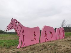 -白鹭湾湿地公园