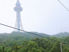 -青岛中山公园-索道售票处