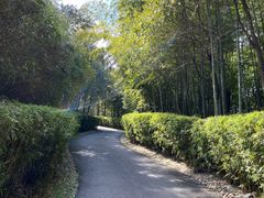 -天目湖涵田度假村