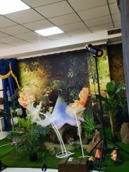 -奈斯霏儿童摄影