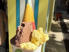 -柠檬车露(卖草地店)