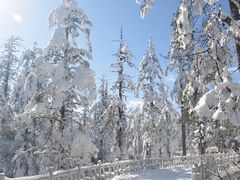 -瓦屋山景区