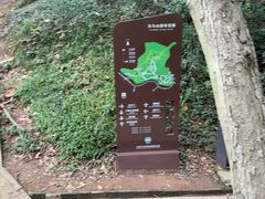 -上海佘山国家森林公园天马山园