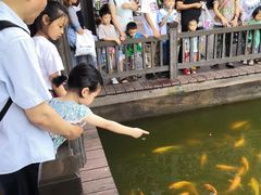 -枫香湖儿童公园