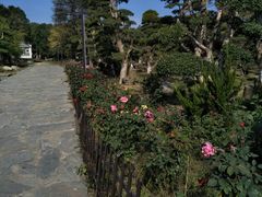 -武汉紫薇都市田园