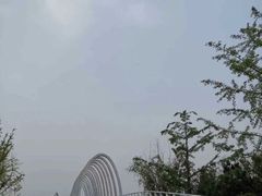 -大兴滨河森林公园