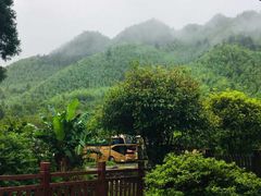 -井冈山风景名胜区