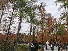 -南宁南湖公园