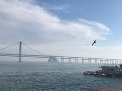 -星海湾跨海大桥
