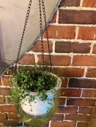 -青木造型HAIR·あおき髪を刈る潮人店